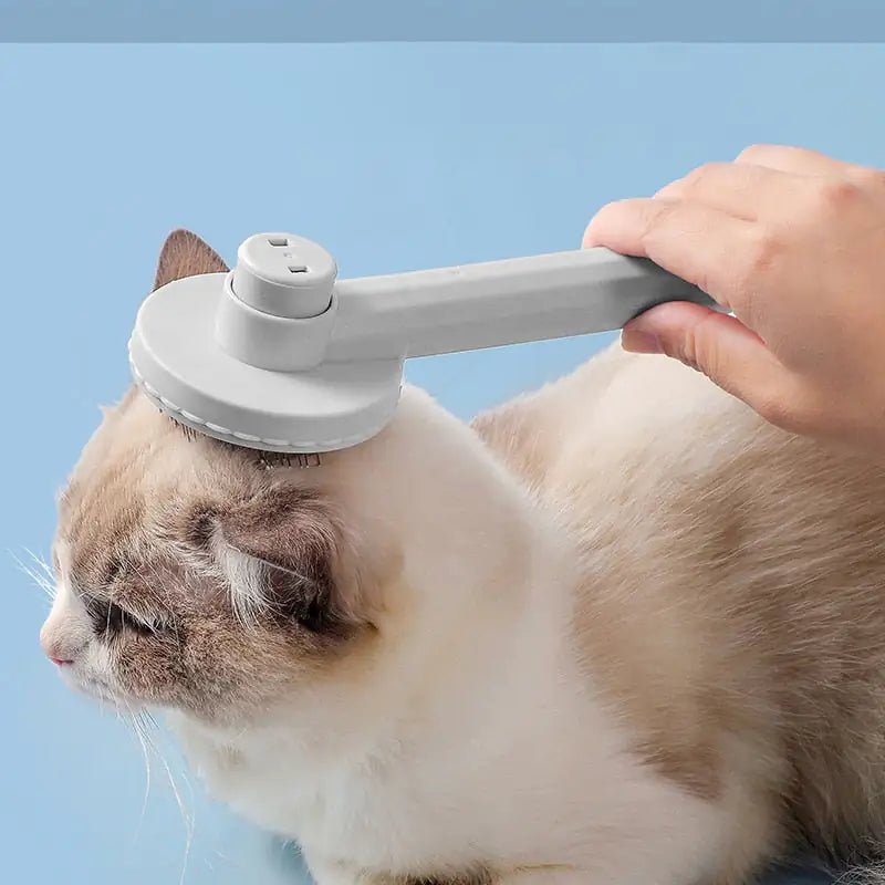 Effortless Grooming – Cat Brush Pet Comb - Feline spout